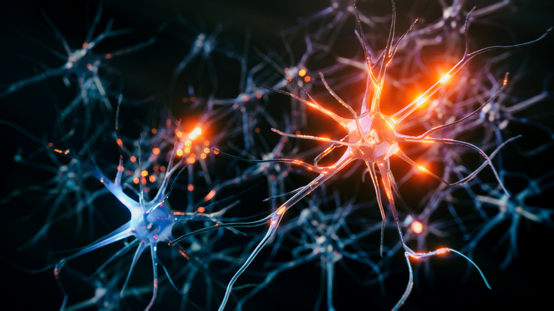 Medical Marijuana Neuron system disease