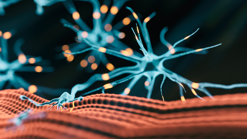 Medical Marijuana image of neurons