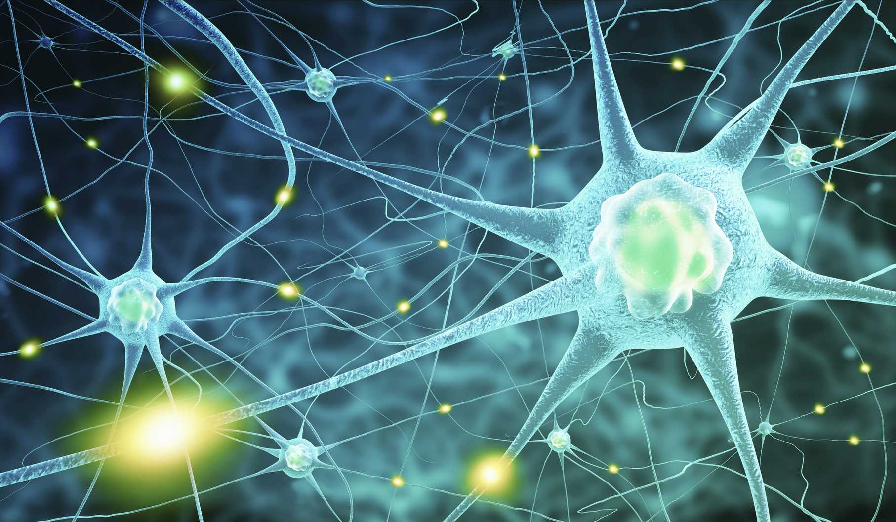 Medical Marijuana image of neurons
