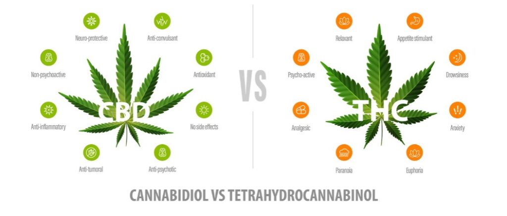 Medical Marijuana Cannabidiol vs. Tetrahydrocannabinol