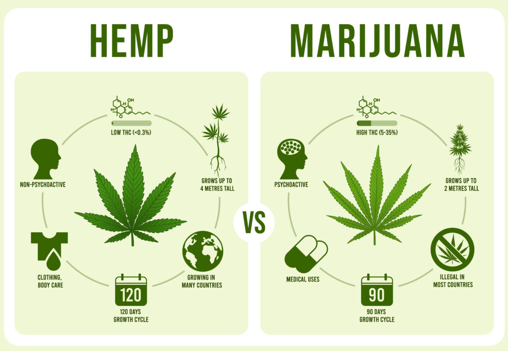 Medical Marijuana difference of hemp and marijuana
