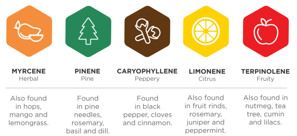 Zen Cannabis Clinic flavors of these terpenes