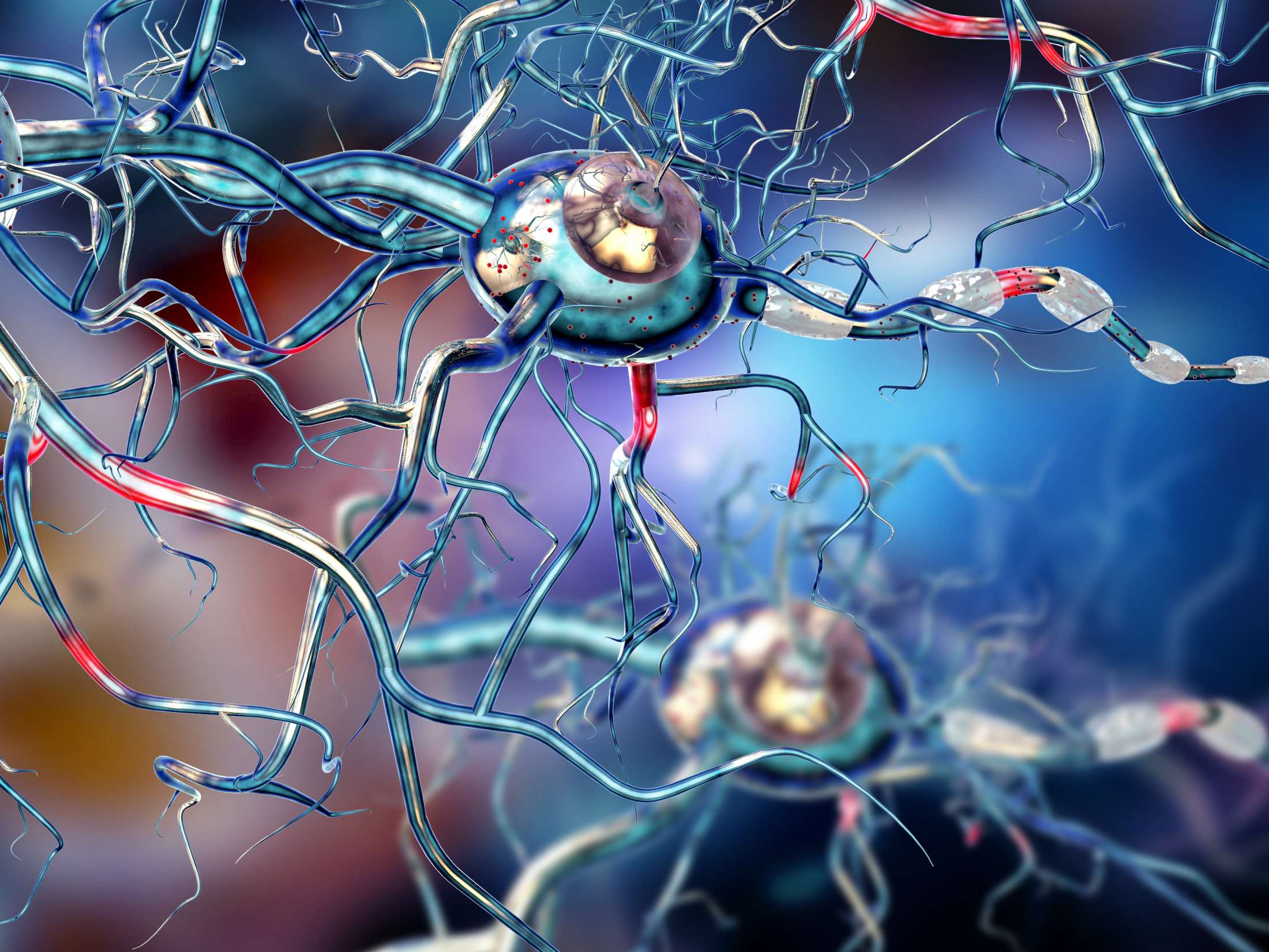 Zen Cannabis Clinic image of neurons