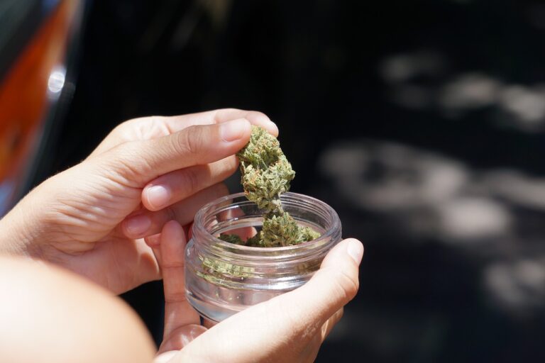 Person holding small jar of medical marijuana in Texas.