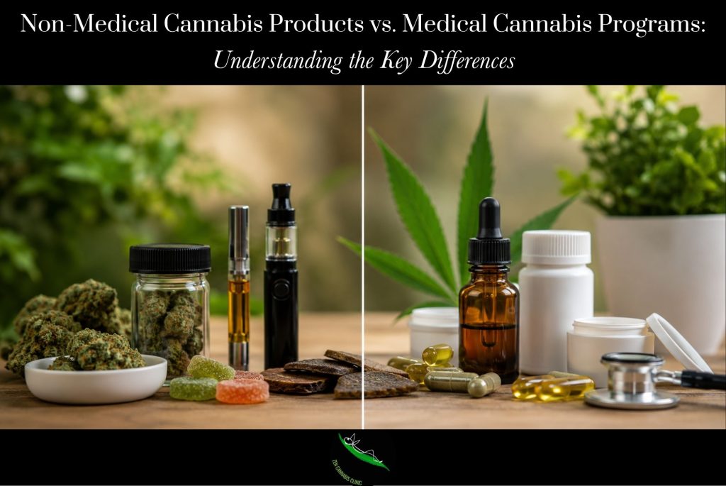 Non-Medical Cannabis Products vs. Medical Cannabis Programs Understanding the Key Differences