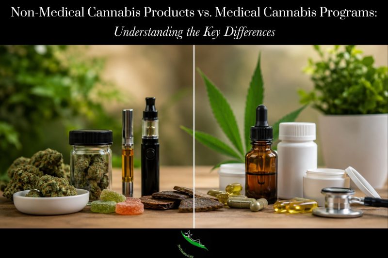 Non-Medical Cannabis Products vs. Medical Cannabis Programs Understanding the Key Differences